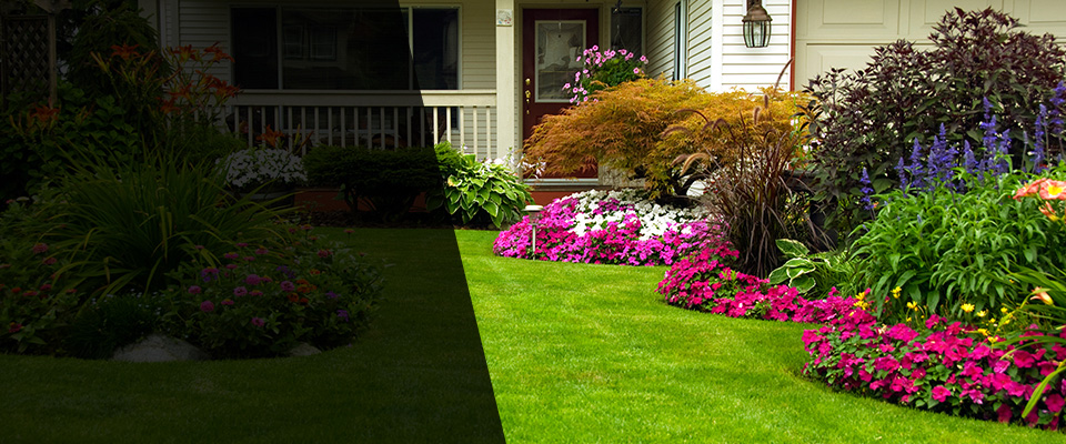 Baxley Landscapers