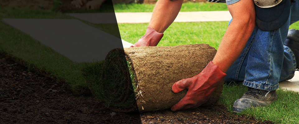 Baxley Landscapers